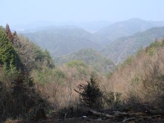 DSC00732.jpg