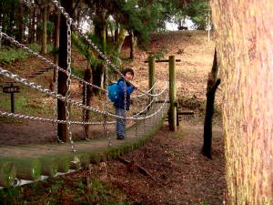 DSC00772.jpg