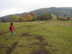 Slivnica