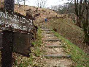 DSC00784.jpg