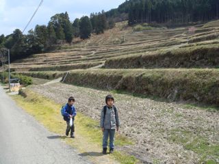 長谷の棚田