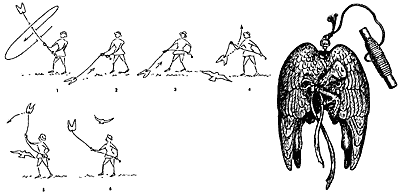Flugphasen-Federspiel.gif