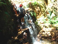 ashiyajigokudani.jpg