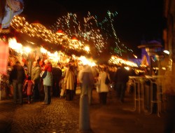 bozic01.jpg