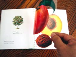 livre_de_pomme.jpg