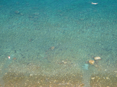 Piraner See