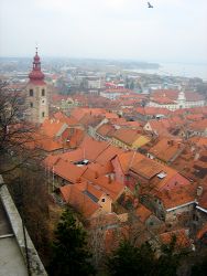 ptuj.jpg