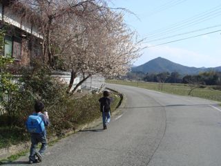 tsukunami.jpg
